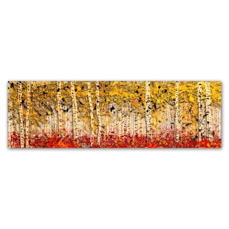 Roderick Stevens 'Fall PanorAspens' Canvas Art,16x47
